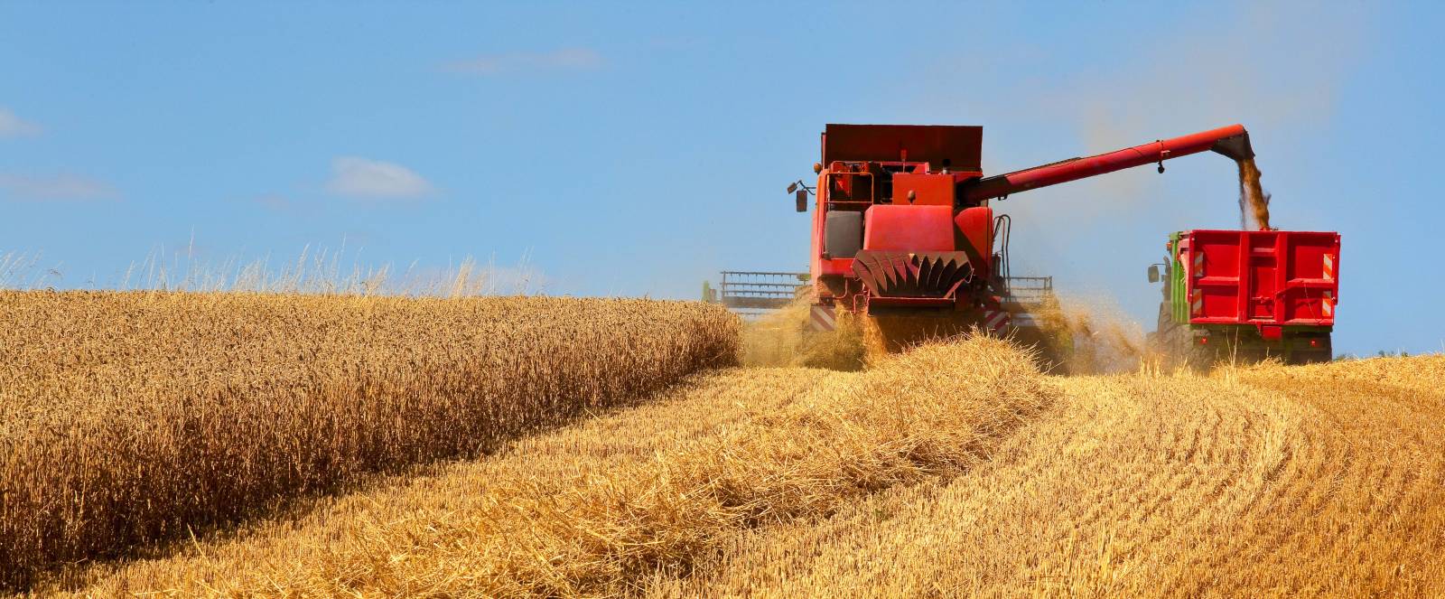 Souscrire une assurance multirisque agricole en cas de périls naturels à Jungholtz